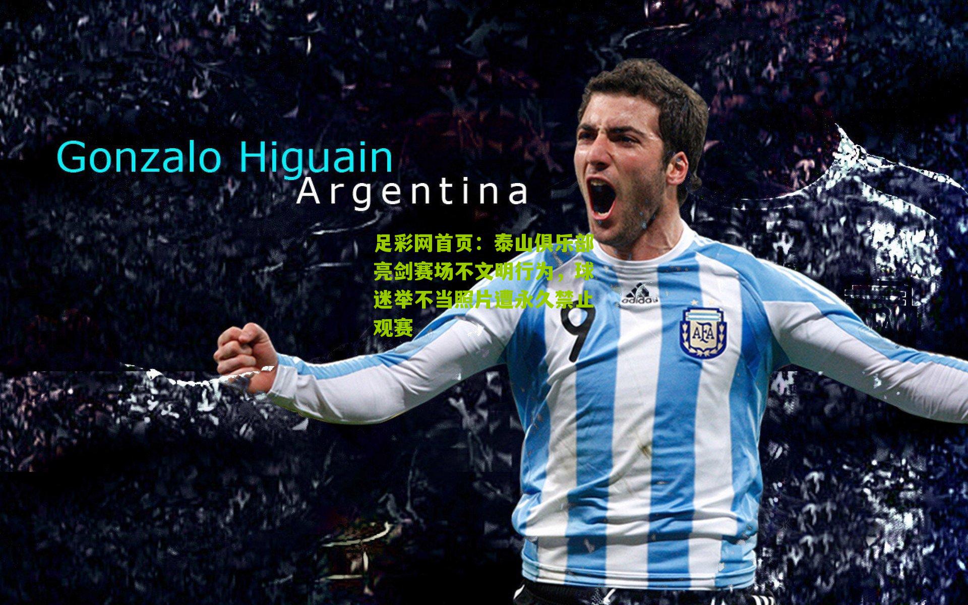 泰山俱乐部亮剑赛场不文明行为，球迷举不当照片遭永久禁止观赛