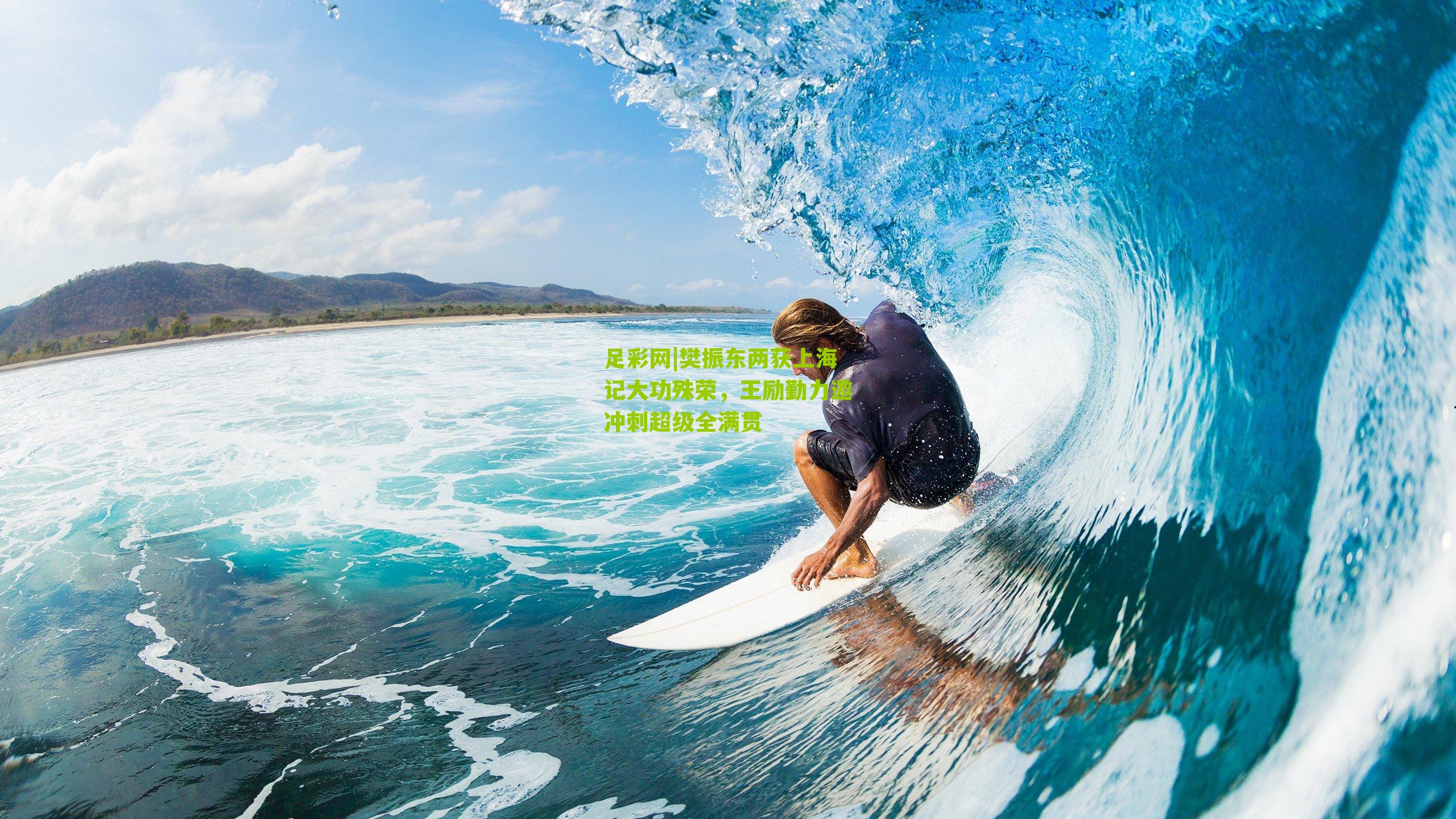 樊振东两获上海记大功殊荣，王励勤力邀冲刺超级全满贯